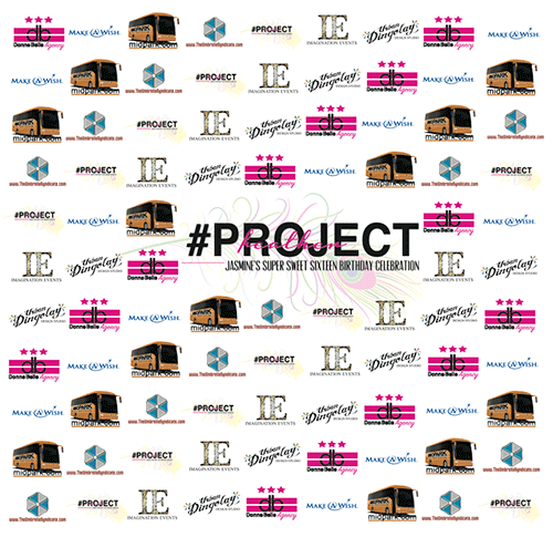redcarpets.com-step-repeat-#projectheather