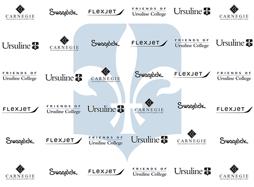 redcarpets.com-steprepeat-backdrops-March-2017-45