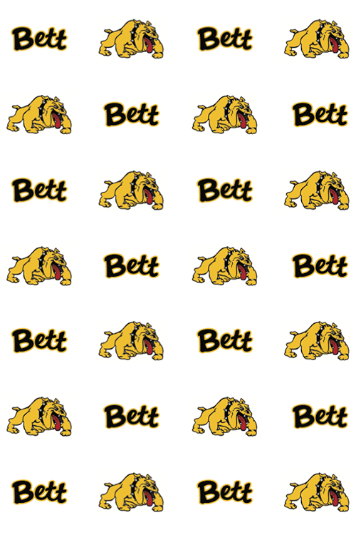 redcarpets.com-steprepeat-backdrop-red-carpet-April-2017-14