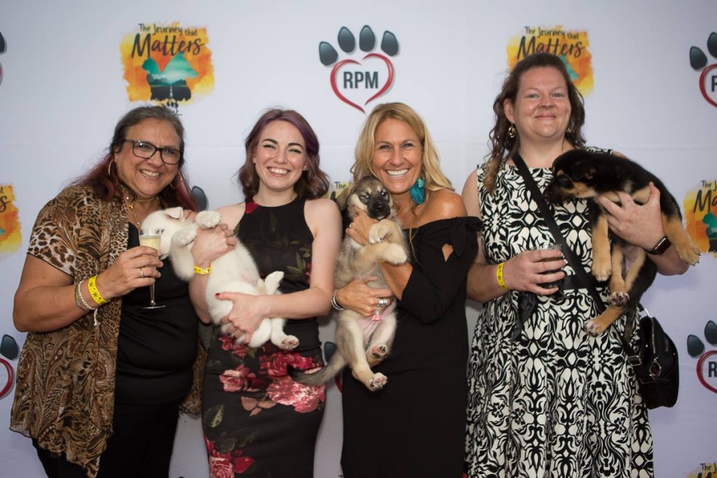 redcarpets.com-step-repeat-fabric-red-carpet-backdrops-fur-ball-2018-journey-matters-house-blues-houston-5