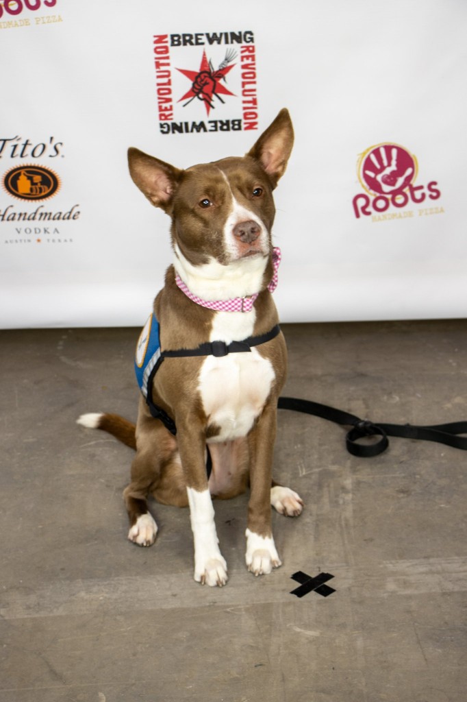 275435626_10159032329827449_7124989188855562235_n