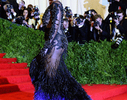 Met Gala 2013