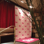 Star Beauty Awards 2013