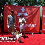 Mitsubishi Owners Day