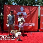 Mitsubishi Owners Day