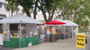 outdoor displays