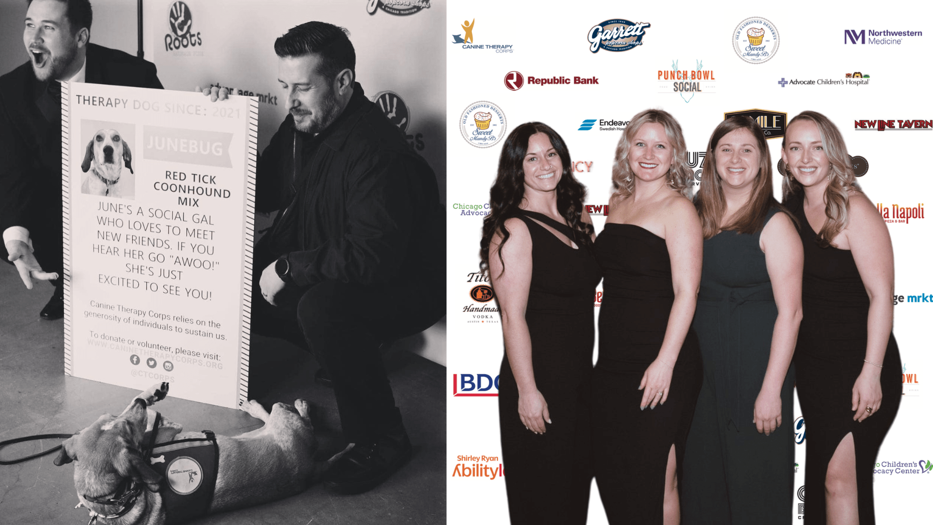 Canine Therapy Corp Black & White Gala 2024: Transforming Lives with Therapeutic Interventions