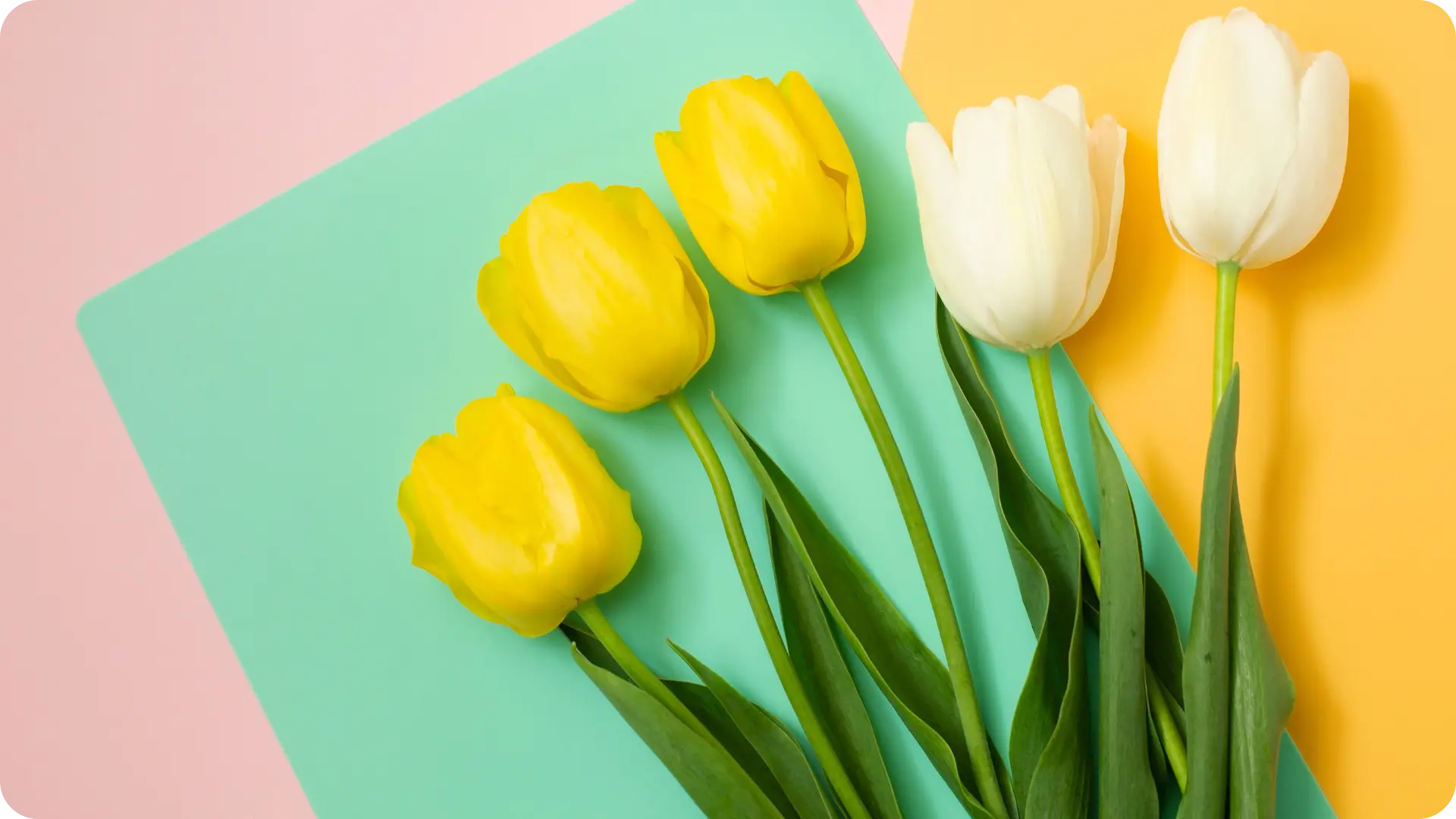Bring Your Spring Events to Life with Vibrant Carpet Colors